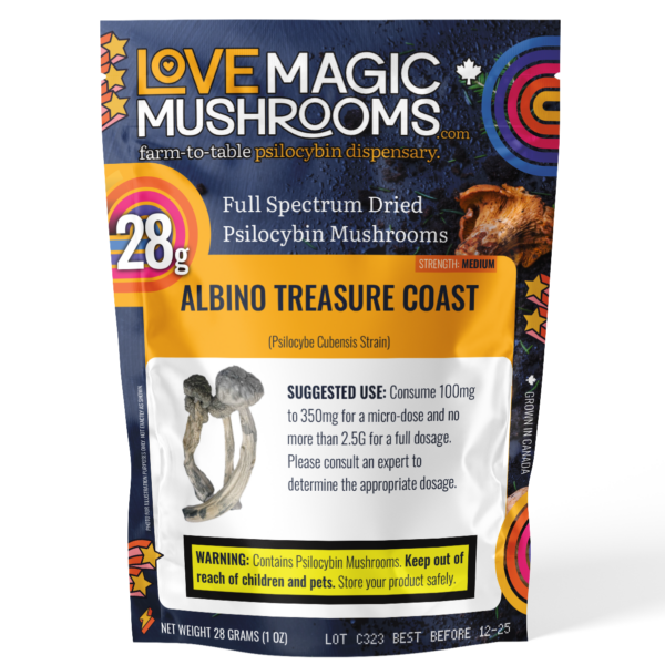 Albino Treasure Coast Medium Strength Dried Psilocybin Mushrooms