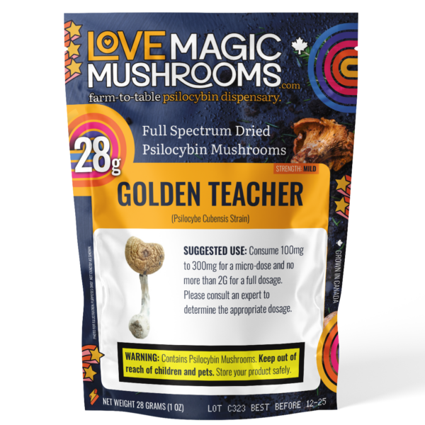 Golden Teacher's Mild Strength Dried Psilocybin Mushrooms