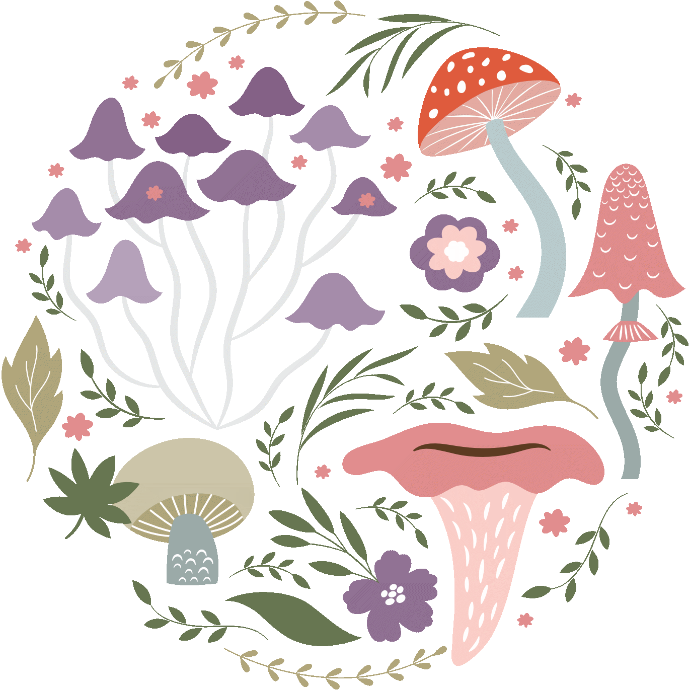 img_mushroom_intro